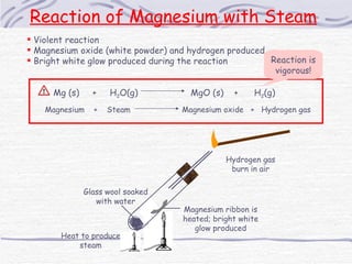<ul><li>Violent reaction </li></ul><ul><li>Magnesium oxide (white powder) and hydrogen produced </li></ul><ul><li>Bright w...