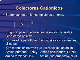Colectores Catiónicos
• Se derivan de un ion complejo de amonio.
El grupo polar que se adsorbe en los minerales
tiene carga positiva.
• Son usados para flotar óxidos, silicatos y alúmino-
silicatos.
• Son menos selectivos que los reactivos aniónicos.
Amina primaria: R-NH2 Amina secundaria: R2-NH
Amina terciaria: R3-N Amina cuaternaria:R4-N-Cl
+
N
 