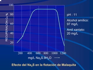 200 400 600 800 1000 1200
100
80
60
40
20
REC
UPER
ACIÓ
N
Cu
%
pH : 11
Alcohol amílico:
97 mg/L
Amil xantato:
20 mg/L
mg/L Na2S.9H2O
Efecto del Na2S en la flotación de Malaquita
 