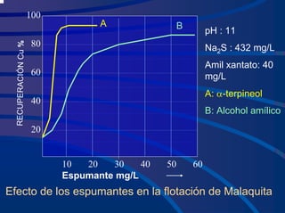 10 20 30 40 50 60
Espumante mg/L
100
80
60
40
20
REC
UPER
ACIÓ
N
Cu
% pH : 11
Na2S : 432 mg/L
Amil xantato: 40
mg/L
A: α-terpineol
B: Alcohol amílico
A B
Efecto de los espumantes en la flotación de Malaquita
 