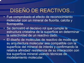 DISEÑO DE REACTIVOS...
• Fue comprobado el efecto de reconocimiento
molecular con un mineral de fluorita, calcita y
fluorapatita.
• Se demostró el decisivo rol que cumple la
estructura cristalina de la superficie en determinar
la selectividad de un reactivo dado.
• El diseño de moléculas de reactivo de modo que
su arquitectura molecular sea compatible con la
superficie del mineral de interés y confirmando la
relativa afinidad/ resistencia de su interacción con
loa superficie mineral usando técnicas de
modelamiento molecular.
 