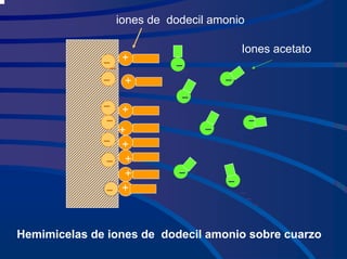 +
+
+
+
+
+
+
+
+
iones de dodecil amonio
Iones acetato
Hemimicelas de iones de dodecil amonio sobre cuarzo
 