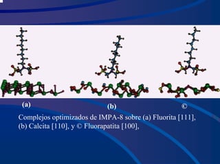 (a) (b) ©
Complejos optimizados de IMPA-8 sobre (a) Fluorita [111],
(b) Calcita [110], y © Fluorapatita [100],
 