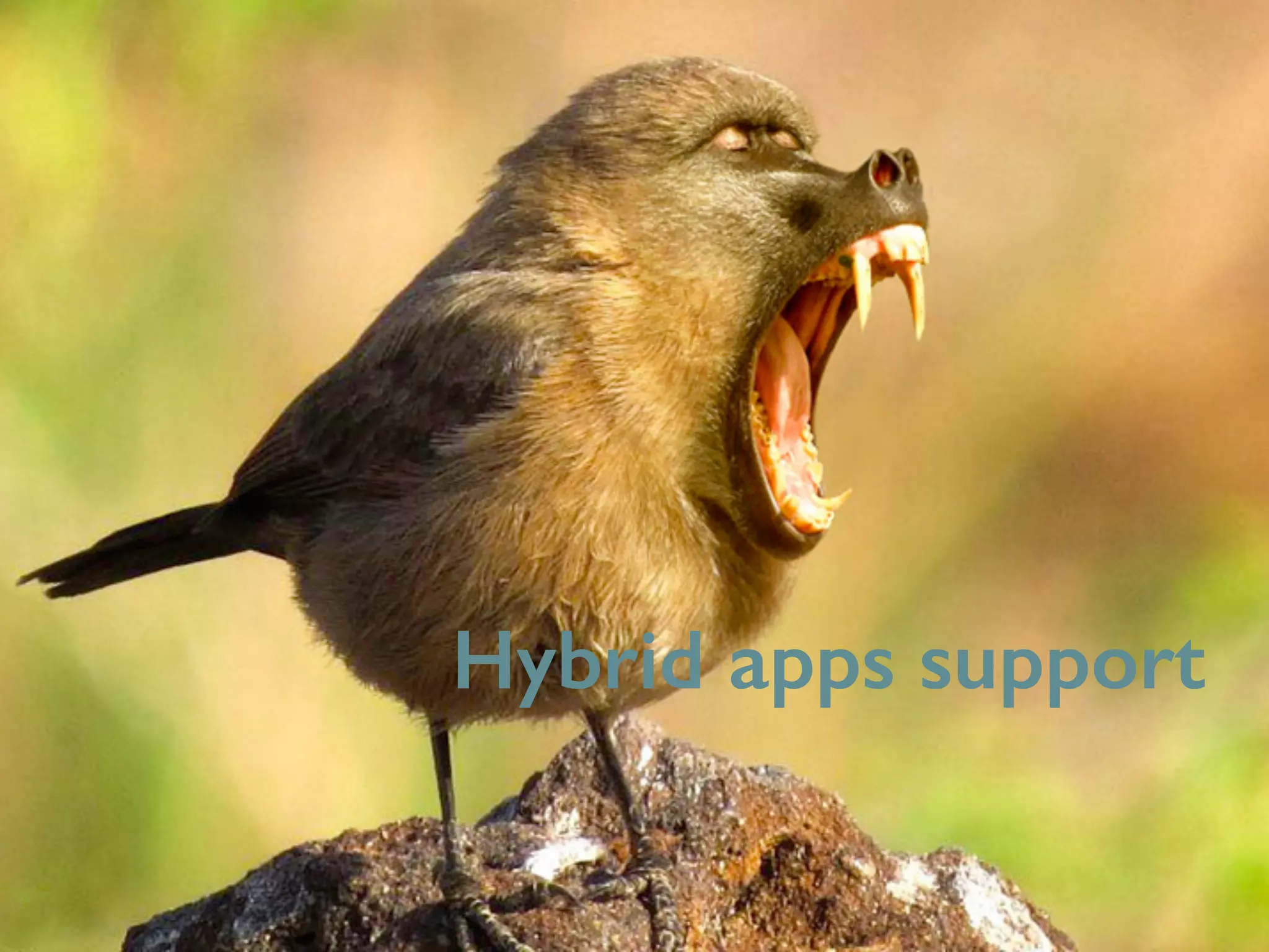 Hybrid apps support