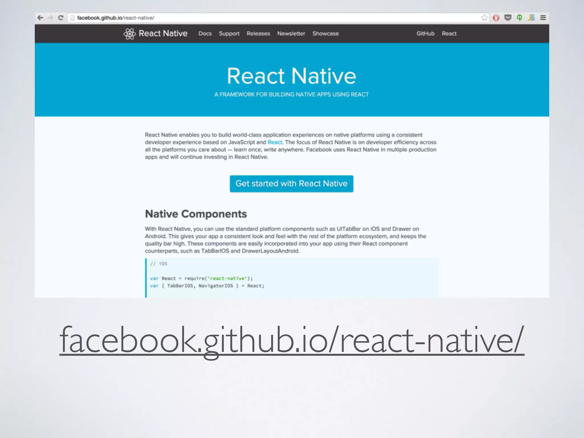 facebook.github.io/react-native/