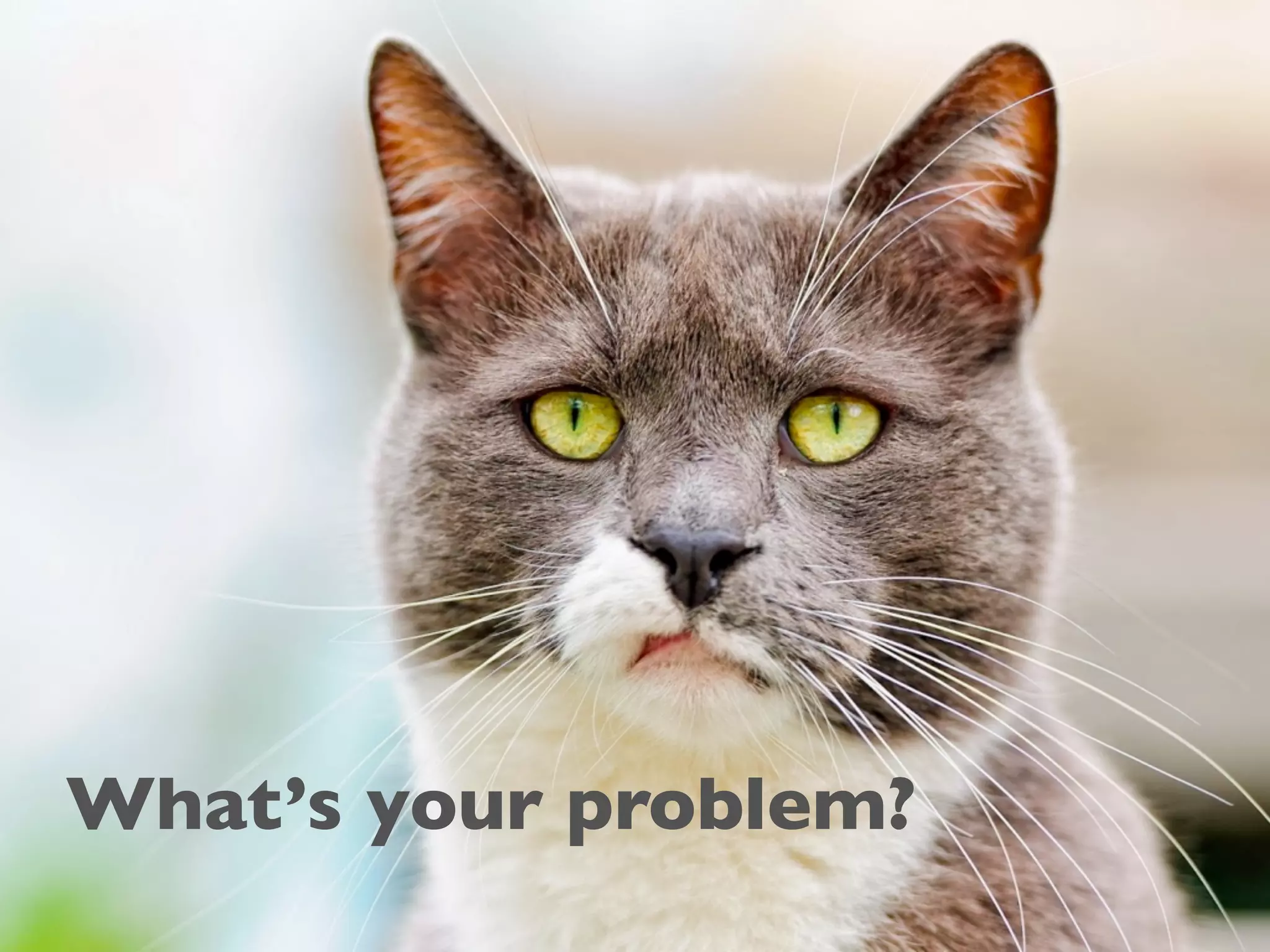 What’s your problem?