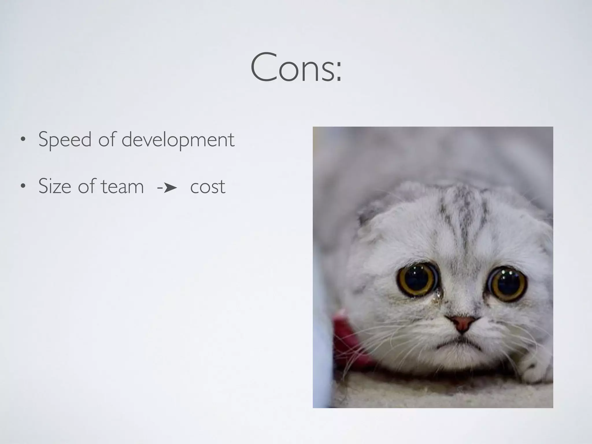 Cons:
• Speed of development
• Size of team -➤ cost