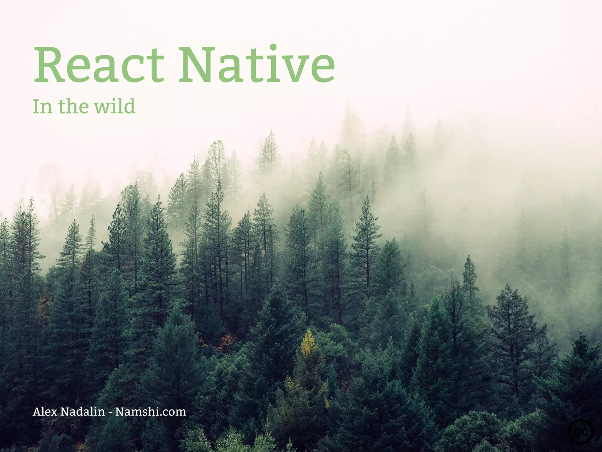 React Native
In the wild
Alex Nadalin - Namshi.com