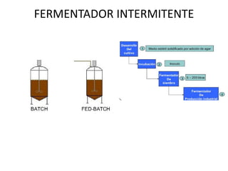 FERMENTADOR INTERMITENTE
 