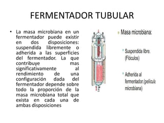 FERMENTADOR TUBULAR
• La masa microbiana en un
fermentador puede existir
en dos disposiciones:
suspendida libremente o
adherida a las superficies
del fermentador. La que
contribuye mas
significativamente al
rendimiento de una
configuración dada del
fermentador depende sobre
todo la proporción de la
masa microbiana total que
exista en cada una de
ambas disposiciones
 