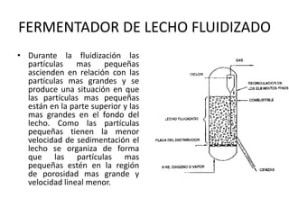 FERMENTADOR DE LECHO FLUIDIZADO
• Durante la fluidización las
partículas mas pequeñas
ascienden en relación con las
partículas mas grandes y se
produce una situación en que
las partículas mas pequeñas
están en la parte superior y las
mas grandes en el fondo del
lecho. Como las partículas
pequeñas tienen la menor
velocidad de sedimentación el
lecho se organiza de forma
que las partículas mas
pequeñas estén en la región
de porosidad mas grande y
velocidad lineal menor.
 