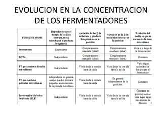 EVOLUCION EN LA CONCENTRACION
DE LOS FERMENTADORES
 