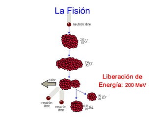 La Fisión
Liberación de
Energía: 200 MeV
 