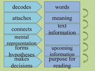 decodes
attaches
connects
mental
representation
forms
hypotheses
makes
decisions
words
meaning
text
information
upcoming
information
purpose for
reading
 