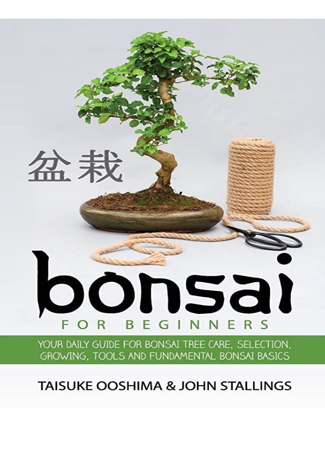 Read Book Bonsai For Beginners Book Your Daily Guide For Bonsai Tree