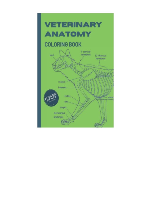 Read In Epub VETERINARY ANATOMY COLORING BOOK - 25 FIGURES - 54 PAGE… Read In Epub VETERINARY ANATOMY COLORING BOOK - 25 FIGURES - 54 PAGE…