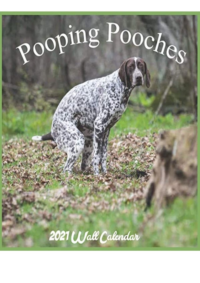 Read Pooping Pooches 2021 Wall Calendar Offical Pooches Gag Gifts Cal pooping dogs calendar 2021