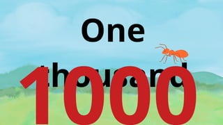 One
thousand
1000
 