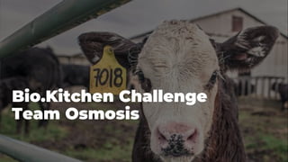 Bio.Kitchen Challenge
Team Osmosis
 