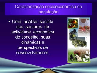 Uma  análise  sucinta  dos  sectores  de  actividade  económica  do concelho, suas dinâmicas e perspectivas de desenvolvimento. Caracterização socioeconómica da população
