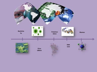 Bactérias1Proteínas10nmÁtomosDNA1nmVírus100nm