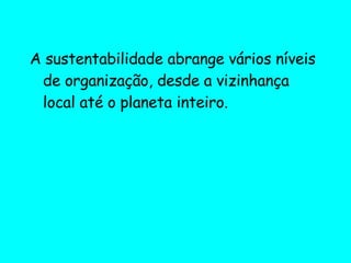 A sustentabilidade abrange vários níveis de organização, desde a vizinhança local até o planeta inteiro. 