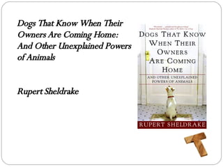 Dogs That Know When Their Owners Are Coming Home: And Other Unexplained Powers of Animals Rupert Sheldrake 