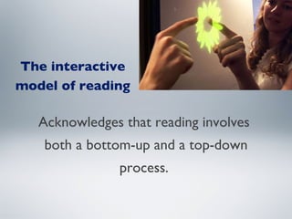 The interactive model of reading   Acknowledges that reading involves  both a bottom-up and a top-down process.  