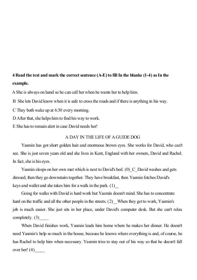 a day in the life of a guide dog