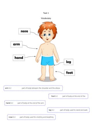 Text 1
Vocabulary
arm (n.) part of body between the shoulder and the elbow
nose
arm
hand
leg
foot
foot (n.) part of body at the end of the
leg
hand (n.) part of body at the end of the arm
leg (n.) part of body used to stand and walk
nose (n.) part of body used for smelling and breathing
 