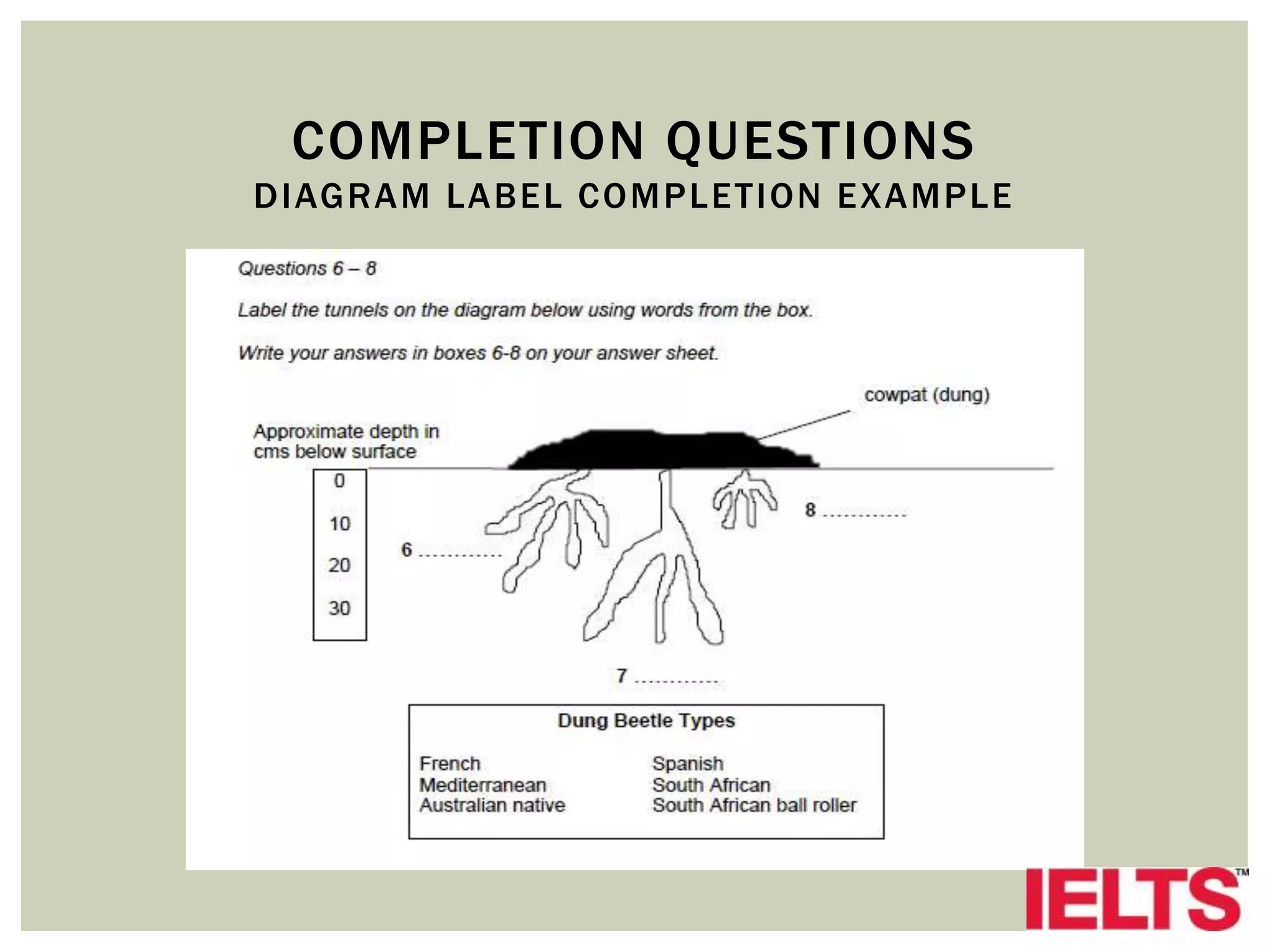 COMPLETION QUESTIONS
DIAGRAM LABEL COMPLETION EXAMPLE
 
