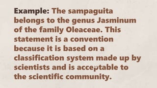 Example: The sampaguita
belongs to the genus Jasminum
of the family Oleaceae. This
statement is a convention
because it is based on a
classification system made up by
scientists and is acceptable to
the scientific community.
 