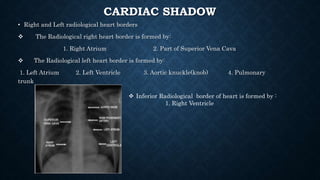 CARDIAC SHADOW
• Right and Left radiological heart borders
 The Radiological right heart border is formed by:
1. Right Atrium 2. Part of Superior Vena Cava
 The Radiological left heart border is formed by:
1. Left Atrium 2. Left Ventricle 3. Aortic knuckle(knob) 4. Pulmonary
trunk
 Inferior Radiological border of heart is formed by :
1. Right Ventricle
 
