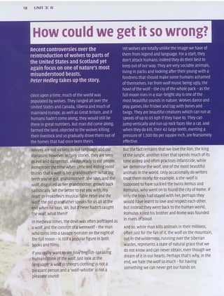 18 UNIT 3: 8
How could we get it so wrong?
Recent controversies over the
reintroduction ofwolves to parts of
the united States and scotland yet
again focus on one of nature's most
misunderstood beasts.
Peter Hedle!J takes up the story.
once upon atime, much ofthe world was
populated by wolves. They ranged all over the
United States and canada, siberia and much of
mainland Europe, as well as Great Britain, and if
humans hadn't come along, they would still be
there in great numbers. But man did come along,
farmed the land, objected to the wolves killing
their iivestock and so gradually drove them out of
the homes that had once been theirs.
woives are not victims in our language and our
literature, however In fairy stories, they are seen
as evil and dangerous, always ready to eat people.
Rememberthe time when Little Red Riding Hood
thinks that awolfis her grandmother? 'What big
teeth you've got, grandmother!', she says, and the
wolf, disguised as her grandmother, growis back
sadistically, 'All the better to eat you with, my
dear!' In prokofiev's musical fable Peter and the
wolf, the old grandfather speaks for us all at the
end when he says, 'Ah, but ifPeter hadn't caught
the wolf, what then?!'
In medieval times, the devil was often portrayed as
awolf, and the concept ofawerewolf- the man
who turns into asavage monster on the night of
the full moon - is still apopular figu re in both
books and films.
Ifyou really want to see how English-speaking
humans think ofthe wolf, just look atthe
language! 'A wolfin sheep'S clothing' is not a
pleasant person and a'wolf-whistle' is not a
pleasant sound!
Yet wolves are totally unlike the image we have of
them from legend and language. For astart, they
don't attack humans; indeed they do their best to
keep out ofour way. They are very sociable animals,
living in packs and looking after their young with a
fondness that should make some humans ashamed
ofthemselves. Far from wolf music being ugly, the
howl ofthe wolf- the cry ofthe whole pack - as the
full moon rises in astar-bright sky is one ofthe
most beautiful sounds in nature. Wolves dance and
play games like frisbee and tag with bones and
twigs. They are beautiful creatures which can run at
speeds of up to 65 kph ifthey have to. They can
jump vertically and run up rock faces like acat. And
when they do kill, their 42 large teeth, exerting a
pressure of 1,500 Ibs per square inch, are fearsomely
effective.
Butthe fact remains that we love the lion, the king
ofthe jungle, another killerthat spends much of its
time asleep and often practises infanticide, while
we demonise the wolf, one ofthe most beautiful
animals in the world. only occasionally do writers
treat them nicely; for example, ashe-wolf is
supposed to have suckled the twins Remus and
Romulus, who went on to found the city of Rome. If
only the boys had stayed with her, perhaps they
would have learnt to love and respect each other.
But instead they went back to the human world,
Romulus killed his brother and Rome was founded
in rivers of blood.
And so, while man kills animals in their millions,
often justforthe fun of it, the wolf on the mountain,
out in the wilderness, running over the Siberian
wastes, represents astate of natural grace that we
do not know and can never obtain, even though we
dream of it in our hearts. perhaps that's why, in the
end, we hate the wolfso much - for having
something we can never get our hands on.
 
