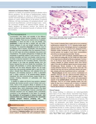 Clinical Features
The clinical ﬁndings in asbestosis are indistinguishable
from those of any other chronic interstitial lung disease.
Typically, progressively worsening dyspnea appears 10 to
20 years after exposure. The dyspnea is usually accompa-
nied by a cough associated with production of sputum. The
disease may remain static or progress to congestive heart
failure, cor pulmonale, and death. Pleural plaques are
usually asymptomatic and are detected on radiographs as
circumscribed densities. Both lung carcinoma and malignant
mesothelioma develop in workers exposed to asbestos. The risk
of lung carcinoma is increased about ﬁve-fold for asbestos
workers; the relative risk for mesothelioma, normally a
very rare tumor (2 to 17 cases per 1 million persons), is
Chronic Interstitial (Restrictive, Inﬁltrative) Lung Diseases 477
Asbestosis and Asbestos-Related Diseases
Asbestos is a family of crystalline hydrated silicates with a
ﬁbrous geometry. On the basis of epidemiologic studies,
occupational exposure to asbestos is linked to (1) paren-
chymal interstitial ﬁbrosis (asbestosis); (2) localized ﬁbrous
plaques or, rarely, diffuse ﬁbrosis in the pleura; (3) pleural
effusions; (4) lung carcinomas; (5) malignant pleural and
peritoneal mesotheliomas; and (6) laryngeal carci- noma.
An increased incidence of asbestos-related cancers in
family members of asbestos workers has alerted the
general public to the potential hazards of asbestos in the
environment.
PATHOGENESIS
Concentration, size, shape, and solubility of the different
forms of asbestos dictate whether inhalation of the material
will cause disease. There are two distinct forms of asbestos:
serpentine, in which the ﬁber is curly and ﬂexible, and
amphibole, in which the ﬁber is straight, stiff, and brittle.
Several subtypes of curly and straight asbestos ﬁbers are
recognized. The serpentine chrysotile accounts for most of
the asbestos used in industry. Amphiboles, even though less
prevalent, are more pathogenic than the serpentine chryso-
tile, but both types can produce asbestosis, lung cancer, and
mesothelioma. The greater pathogenicity of straight and stiff
amphiboles is apparently related to their structure. The ser-
pentine chrysotiles, with their more ﬂexible, curled structure,
are likely to become impacted in the upper respiratory pas-
sages and removed by the mucociliary elevator. Those that
are trapped in the lungs are gradually leached from the
tissues, because they are more soluble than amphiboles. The
straight, stiff amphiboles, in contrast, align themselves in the
airstream and are hence delivered deeper into the lungs,
where they may penetrate epithelial cells to reach the inter-
stitium. Despite these differences, both asbestos forms are
ﬁbrogenic, and increasing exposure to either is associated
with a higher incidence of all asbestos-related diseases.
Asbestosis, like other pneumoconioses, causes ﬁbrosis by a
process involving interaction of particulates with lung
macrophages.
In addition to cellular and ﬁbrotic lung reactions, asbestos
probably also functions as both a tumor initiator and a pro-
moter. Some of the oncogenic effects of asbestos on the
mesothelium are mediated by reactive free radicals generated
by asbestos ﬁbers, which preferentially localize in the distal
lung close to the mesothelial layer. However, potentially toxic
chemicals adsorbed onto the asbestos ﬁbers undoubtedly
contribute to the pathogenicity of the ﬁbers. For example,
the adsorption of carcinogens in tobacco smoke onto
asbestos ﬁbers may well be important to the remarkable
synergy between tobacco smoking and the
development of lung carcinoma in asbestos workers.
MORPHOLOGY
Asbestosis is marked by diffuse pulmonary interstitial ﬁbro-
sis. These changes are indistinguishable from UIP, except for
the presence of asbestos bodies, which are seenas golden
Figure 12–21 High-power detail of anasbestos body, revealing the
typical beading and knobbed ends (arrow).
They consist of asbestos ﬁbers coated with an iron-containing
proteinaceous material (Fig. 12–21). Asbestos bodies appar-
ently are formed when macrophages attempt to phagocytose
asbestos ﬁbers; the iron is derived from phagocyte ferritin.
Asbestos bodies sometimes can be found in the lungs of
normal persons, but usually in much lower concentrations
and without anaccompanying interstitial ﬁbrosis.
In contrast with CWP and silicosis, asbestosis begins in the
lower lobes and subpleurally, but the middle and upper lobes
of the lungs become affected as ﬁbrosis progresses. Contrac-
tion of the ﬁbrous tissue distorts the normal architecture,
creating enlarged air spaces enclosed within thick ﬁbrous
walls. In this way the affected regions become honeycombed.
Simultaneously, ﬁbrosis develops in the visceral pleura,
causing adhesions between the lungs and the chest wall. The
scarring may trap and narrow pulmonary arteries and arteri-
oles,causing pulmonary hypertension and cor pulmonale.
Pleural plaques are the most common manifestation of
asbestos exposure and are well-circumscribed plaques of
dense collagen (Fig. 12–22), often containing calcium. They
develop most frequently on the anterior and posterolateral
aspects of the parietal pleura and over the domes of the
diaphragm. They do not contain asbestos bodies, and only
rarely do they occur in persons with no history or evidence
of asbestos exposure. Uncommonly, asbestos exposure
induces pleural effusion or diffuse pleural ﬁbrosis.
brown, fusiform or beaded rods with a translucent center.
more than 1000 times greater. Concomitant cigarette
 