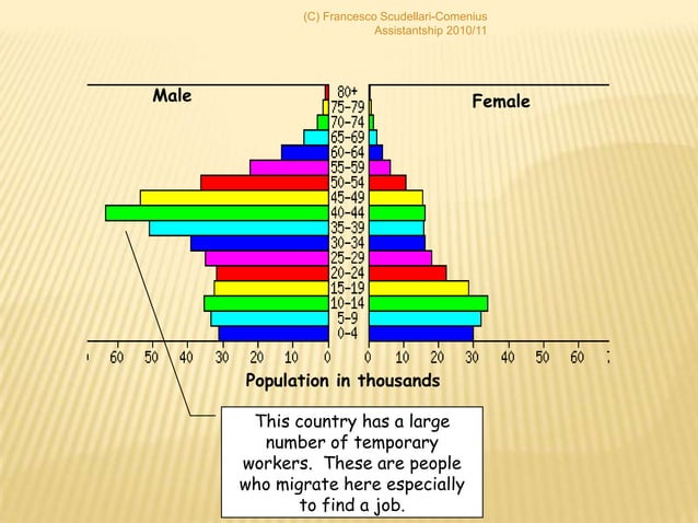 Reading age sex pyramid - lesson 5 | PPT