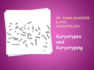 Karyotypes
and
Karyotyping
 