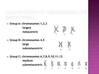    Group A: chromosomes 1,2,3
             largest
             metacentric

   Group B: chromosomes 4,5
             large
             submetacentric

   Group C: chromosomes 6,7,8,9,10,11,12
             medium
             submetacentric
 