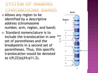  Allows any region to be
 identified by a descriptive
 address (chromosome
 number, arm, region, and band)
 Standard nomenclature is to
 include the translocation in one
 set of parentheses and the
 breakpoints in a second set of
 parentheses. Thus, this specific
 translocation would be denoted
 as t(9;22)(q34;q11.2).
 