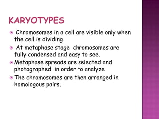   Chromosomes in a cell are visible only when
  the cell is dividing
 At metaphase stage chromosomes are
  fully condensed and easy to see.
 Metaphase spreads are selected and
  photographed in order to analyze
 The chromosomes are then arranged in
  homologous pairs.
 