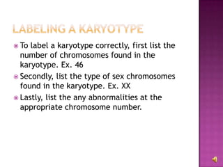  To label a karyotype correctly, first list the
  number of chromosomes found in the
  karyotype. Ex. 46
 Secondly, list the type of sex chromosomes
  found in the karyotype. Ex. XX
 Lastly, list the any abnormalities at the
  appropriate chromosome number.
 