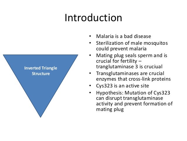 Essay On Malaria