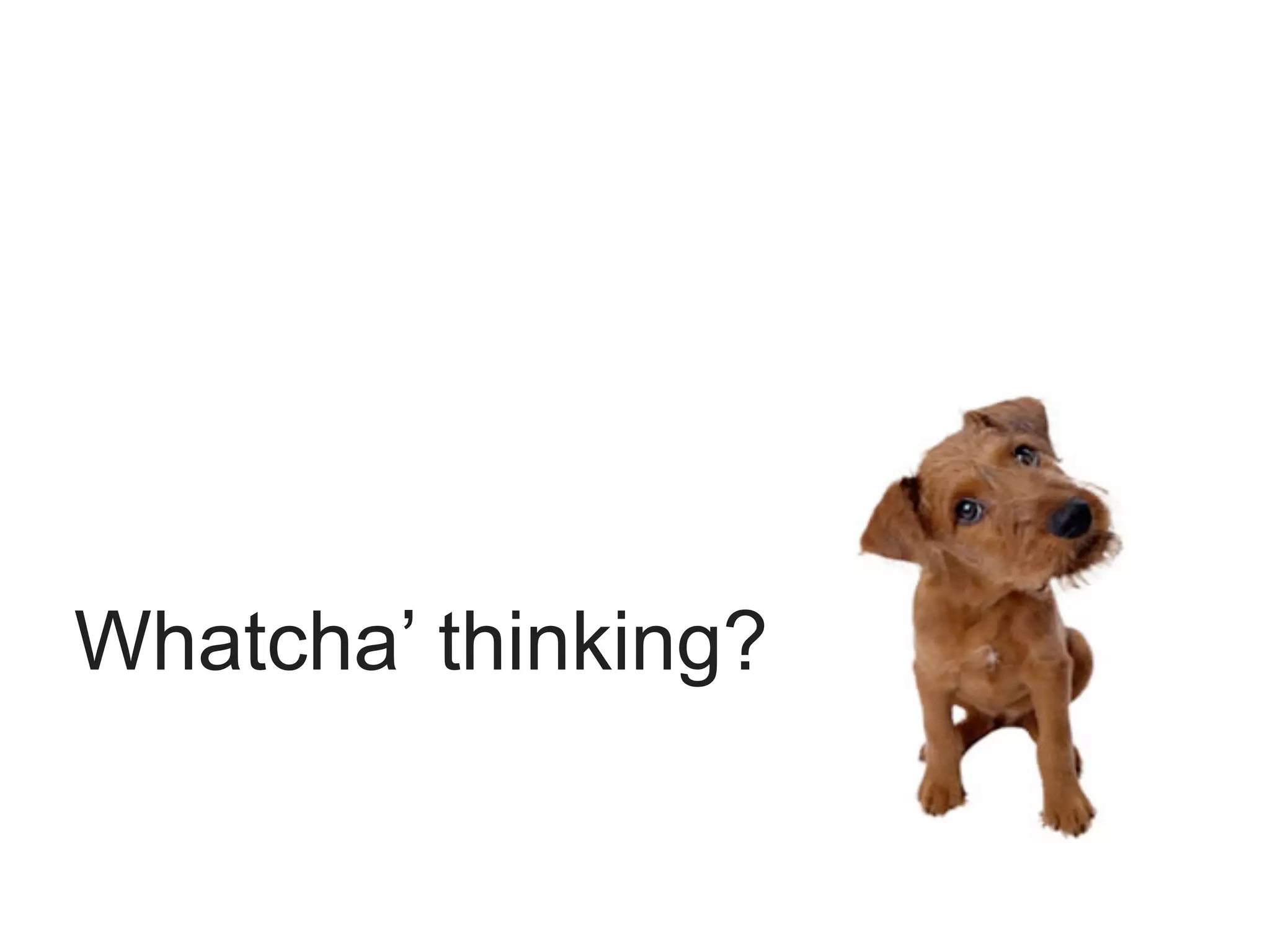 Whatcha’ thinking?
 