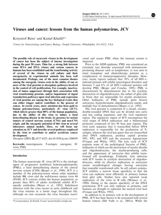 Oncogene (2003) 22, 6517–6523
                                                                    & 2003 Nature Publishing Group All rights reserved 0950-9232/03 $25.00
                                                                    www.nature.com/onc




Viruses and cancer: lessons from the human polyomavirus, JCV

Krzysztof Reiss1 and Kamel Khalili*,1
1
Center for Neurovirology and Cancer Biology, Temple University, Philadelphia, PA 19122, USA




The possible role of eucaryotic viruses in the development          vated and causes PML when the immune system is
of cancer has been the subject of intense investigation             impaired.
during the past 50 years. Thus far, a strong link between              Prior to the AIDS epidemic, PML was considered an
some RNA and DNA viruses and various cancers in                     extremely rare disorder associated with immunocom-
humans has been established and the transforming activity           promising diseases such as lymphomas, or was seen in
of several of the viruses in cell culture and their                 renal transplant and chemotherapy patients as a
oncogenecity in experimental animals has been well                  complication of immunosuppressive therapies. How-
documented. Perhaps, one of the most common themes                  ever, recent reports indicate that 70% of all HIV-1-
among the oncogenic viruses rests in the ability of one or          infected patients will exhibit neurological disorders and
more of the viral proteins to deregulate pathways involved          between 5 and 8% of all HIV-1-infected patients will
in the control of cell proliferation. For example, inactiva-        develop PML (Berger and Concha, 1995). PML is
tion of tumor suppressors through their association with            characterized by demyelination due to the cytolytic
viral transforming proteins, and/or impairment of signal            destruction of oligodendrocytes, the subset of glial cells
transduction pathways upon viral infection and expression           in brain that are responsible for myelin production.
of viral proteins are among the key biological events that          Other hallmarks of PML include giant bizarre
can either trigger and/or contribute to the process of              astrocytes, hyperchromatic oligodendrocyte nuclei, and
cancer. In recent years, more attention has been paid to            multiple foci of demyelination (Major et al., 1992).
human polyomaviruses, particularly JC virus (JCV),                     The viral genome is comprised of a closed, circular,
which infects greater than 80% of the human population,             double-stranded DNA that can be divided into early
due to the ability of this virus to induce a fatal                  and late coding sequences, and the viral regulatory
demyelinating disease in the brain, its presence in various         region. The regulatory region of JCV encompasses the
tumors of central nervous system (CNS) and non-CNS                  viral origin of DNA replication and a bidirectional
origin, and the oncogenic potential of this virus in several        promoter composed of two 98 base pair repeats. The
laboratory animal models. Here, we will focus our                   viral early sequence that is transcribed before DNA
attention on JCV and describe several pathways employed             replication is responsible for the production of T-
by the virus to contribute to and/or accelerate cancer              antigen, whereas the viral late genes that are transcribed
development.                                                        after DNA replication, produce capsid proteins
Oncogene (2003) 22, 6517–6523. doi:10.1038/sj.onc.1206959           VP1, VP2, and VP3 and the accessory Agnoprotein
                                                                    (Frisque and White, 1992). The lytic cycle of JCV
Keywords: tumorigenesis;         T-antigen;     oncogene;      JC   explains some of the pathological features of PML,
virus; PML                                                          hallmarks of which are the destruction of myelin sheaths
                                                                    and oligodendrocytes, the myelin-producing cells;
                                                                    and the appearance of astrocytes that exhibit trans-
Introduction                                                        formed cell morphology. Evidently, lytic infection
                                                                    with JCV results in cytolytic destruction of oligoden-
The human neurotropic JC virus (JCV) is the etiologic               drocytes, while its abortive replication in astrocytes
agent of progressive multifocal leukoencephalopathy                 causes morphological changes leaving astrocytes
(PML), a fatal demyelinating disease of the central                 that resemble transformed cells. In cell culture systems,
nervous system (CNS) (Berger et al., 1998). JCV is a                JCV exhibits a narrow tissue speciﬁcity in that the
member of the polyomaviruses whose other members                    virus can replicate most efﬁciently in primary human
include BK virus and the well-known simian virus 40                 fetal glial cells. Studies have also reported weak
(SV40). JCV coexists within the human population, as                replication of the virus in B cells (Monaco et al.,
greater than 80% of adults worldwide exhibit JCV-                   1996). Owing to the species speciﬁcity of the DNA
speciﬁc antibodies (Major et al., 1992). Subclinical                polymerase, JCV can only replicate in primates, and
infection with the virus occurs in early childhood and              humans are thought to represent the natural viral host
the virus remains in a latent stage throughout life,                (Frisque and White, 1992).
although on rare occasions the virus becomes reacti-                   In addition to its primary role in the development of
                                                                    PML, JCV has been shown to be associated with several
*Correspondence: K Khalili; E-mail: kamel.khalili@temple.edu        human tumors (Del Valle et al., 2001a). While the
 