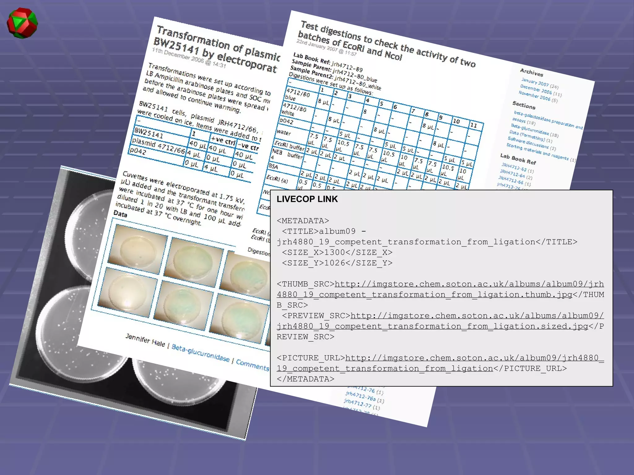 LIVECOP LINK <METADATA> <TITLE>album09 - jrh4880_19_competent_transformation_from_ligation</TITLE> <SIZE_X>1300</SIZE_X> <SIZE_Y>1026</SIZE_Y> <THUMB_SRC> http://imgstore.chem.soton.ac.uk/albums/album09/jrh4880_19_competent_transformation_from_ligation.thumb.jpg </THUMB_SRC> <PREVIEW_SRC> http://imgstore.chem.soton.ac.uk/albums/album09/jrh4880_19_competent_transformation_from_ligation.sized.jpg </PREVIEW_SRC> <PICTURE_URL> http://imgstore.chem.soton.ac.uk/album09/jrh4880_19_competent_transformation_from_ligation </PICTURE_URL> </METADATA> 