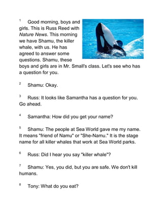 1
     Good morning, boys and
girls. This is Russ Reed with
Nature News. This morning
we have Shamu, the killer
whale, with us. He has
agreed to answer some
questions. Shamu, these
boys and girls are in Mr. Small's class. Let's see who has
a question for you.

2
    Shamu: Okay.

3
   Russ: It looks like Samantha has a question for you.
Go ahead.

4
    Samantha: How did you get your name?

5
    Shamu: The people at Sea World gave me my name.
It means "friend of Namu" or "She-Namu." It is the stage
name for all killer whales that work at Sea World parks.

6
    Russ: Did I hear you say "killer whale"?

7
   Shamu: Yes, you did, but you are safe. We don't kill
humans.

8
    Tony: What do you eat?
 