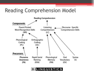 Research Looking at Reading
Comprehension
• Semantic skills at age 3 and phonological
awareness at age 6 both predicted reading skills
at age 16 (Frost, et. al., 2005)
• Letter identification, working memory, rhyme
detection and phoneme deletion (phonological
awareness) in kindergarten predicted fourth-
grade word reading. (Lesaux, Rupp, & Siegel, 2007)
 