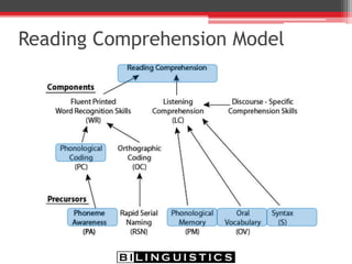 The Ultimate Goal in Reading:
Comprehension & Fluency
• Two aspects of reading development
▫ Word recognition/decoding words/reading fluency
 Children are learning to decode in the first two years of
school
 Phonological awareness, phoneme discrimination tasks,
rhyming, onset-rime, syllable awareness
▫ Reading comprehension
 Children are reading to learn in later elementary years
(second grade and up).
 Syntax, semantics, and discourse skills required
 