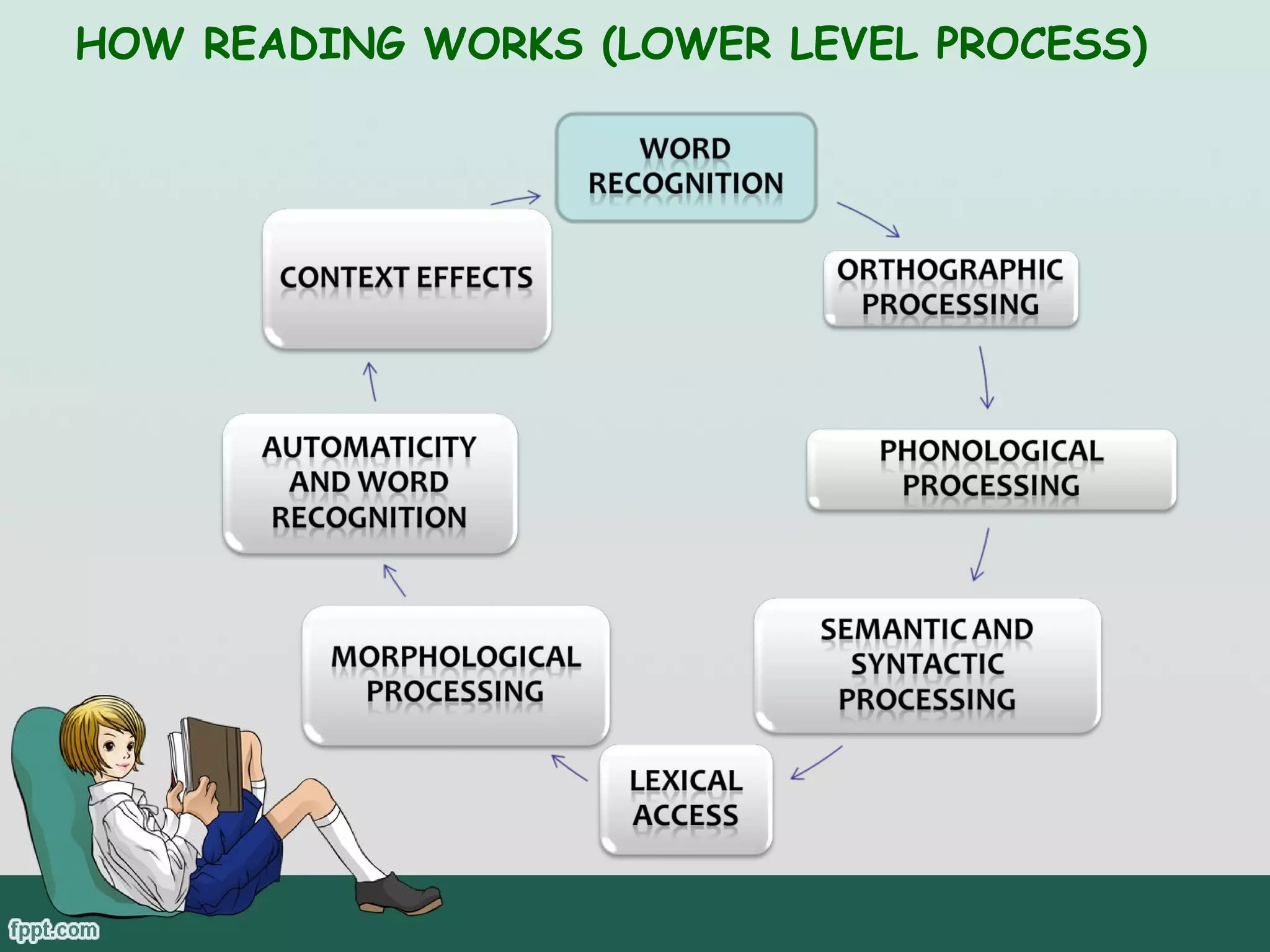 HOW READING WORKS (LOWER LEVEL PROCESS)

 