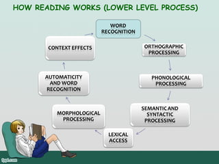 HOW READING WORKS (LOWER LEVEL PROCESS)

 